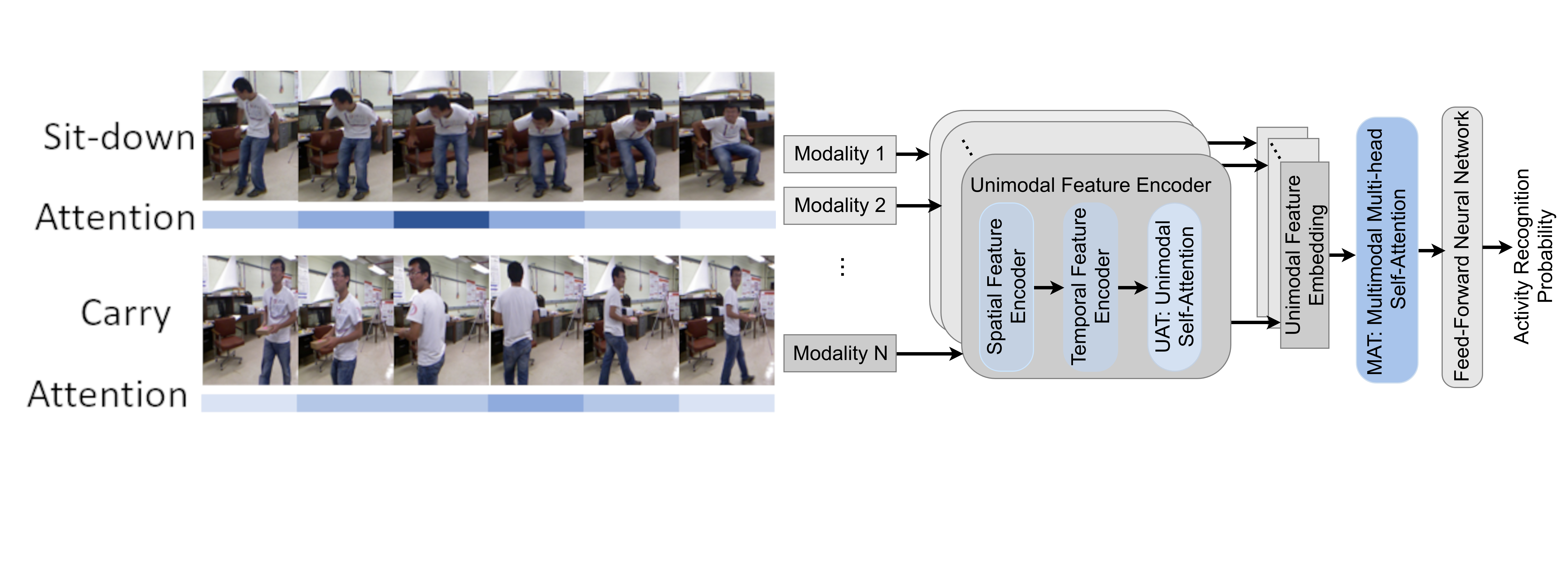 HAMLET: A Hierarchical Multimodal Attention-based Human Activity Recognition Algorithm